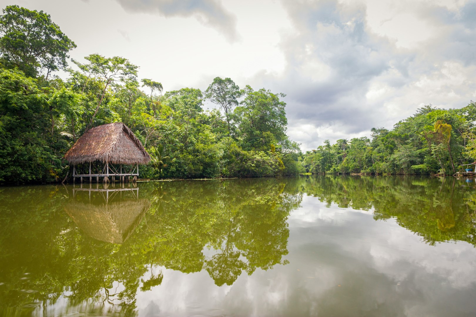  Photo Credit: Photo by Isaac Quesada on Unsplash