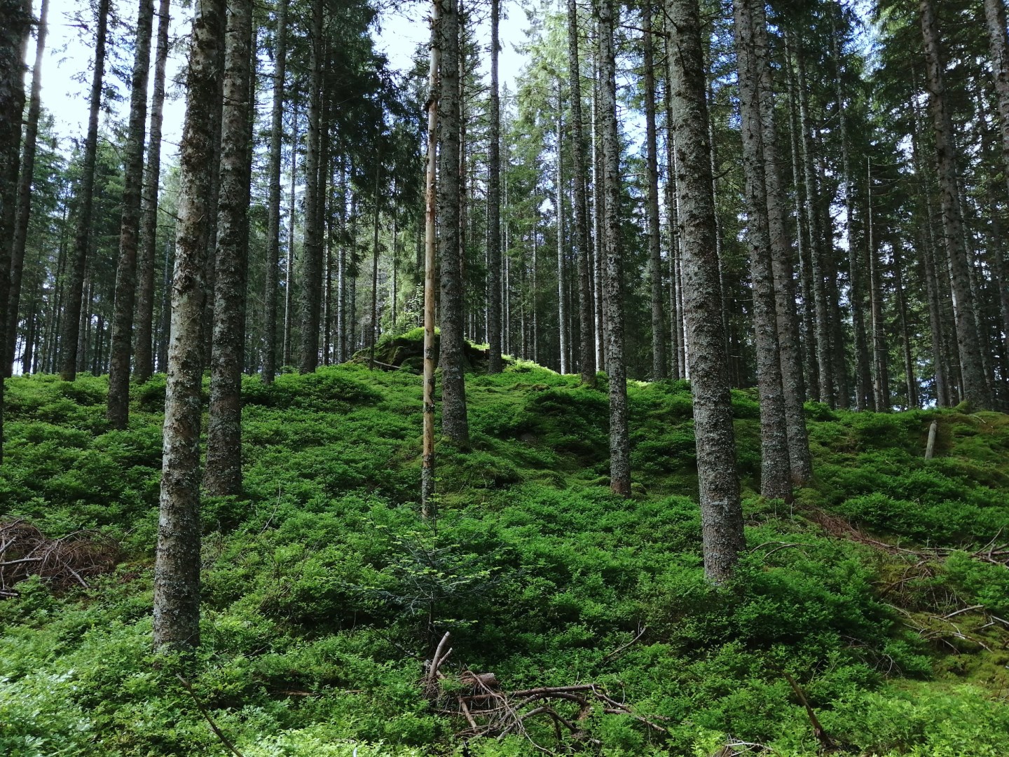  Photo Credit: Photo by Karsten Klemme on Unsplash