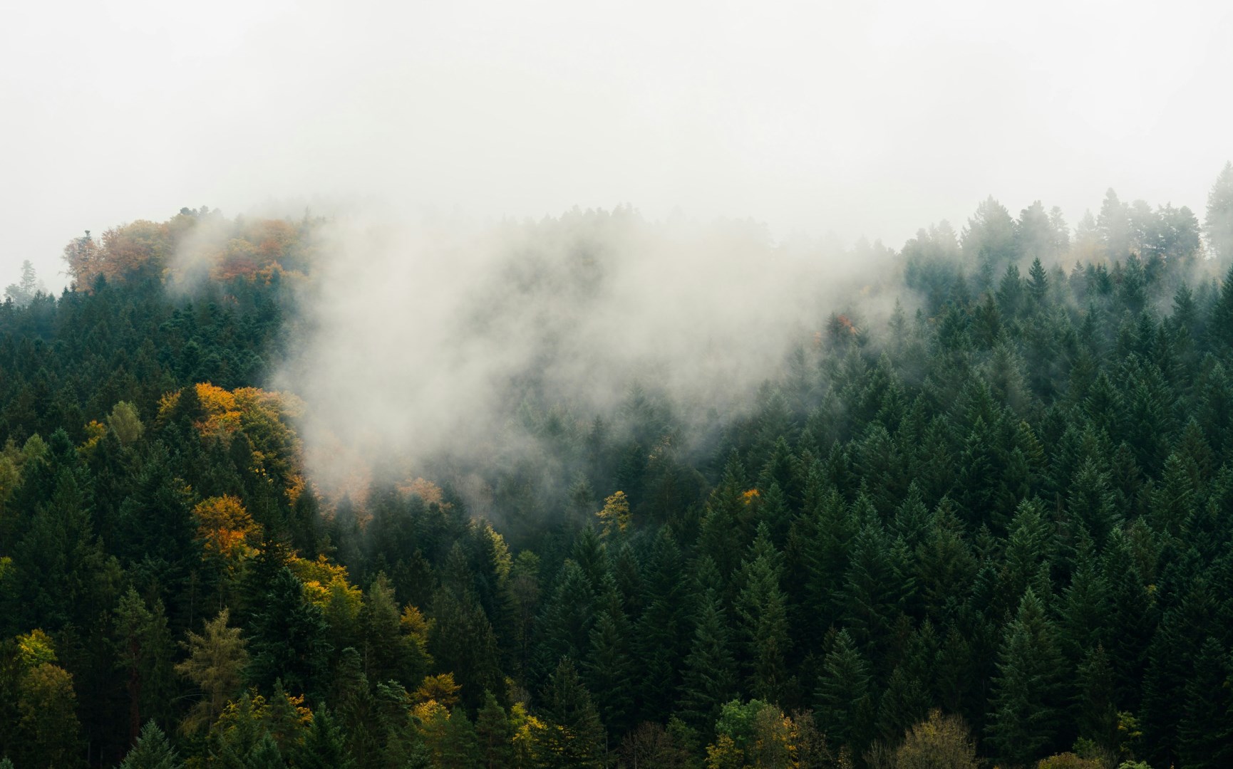  Photo Credit: Photo by Daniel Rauber on Unsplash