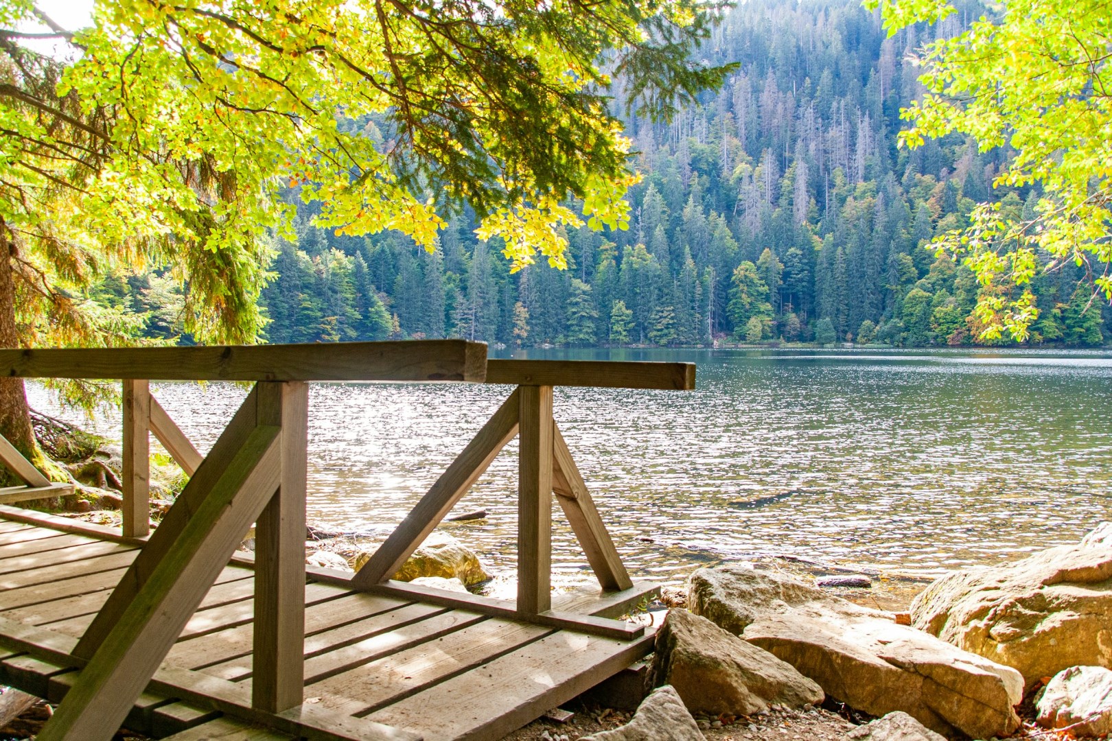  Photo Credit: Photo by Robin St on Unsplash