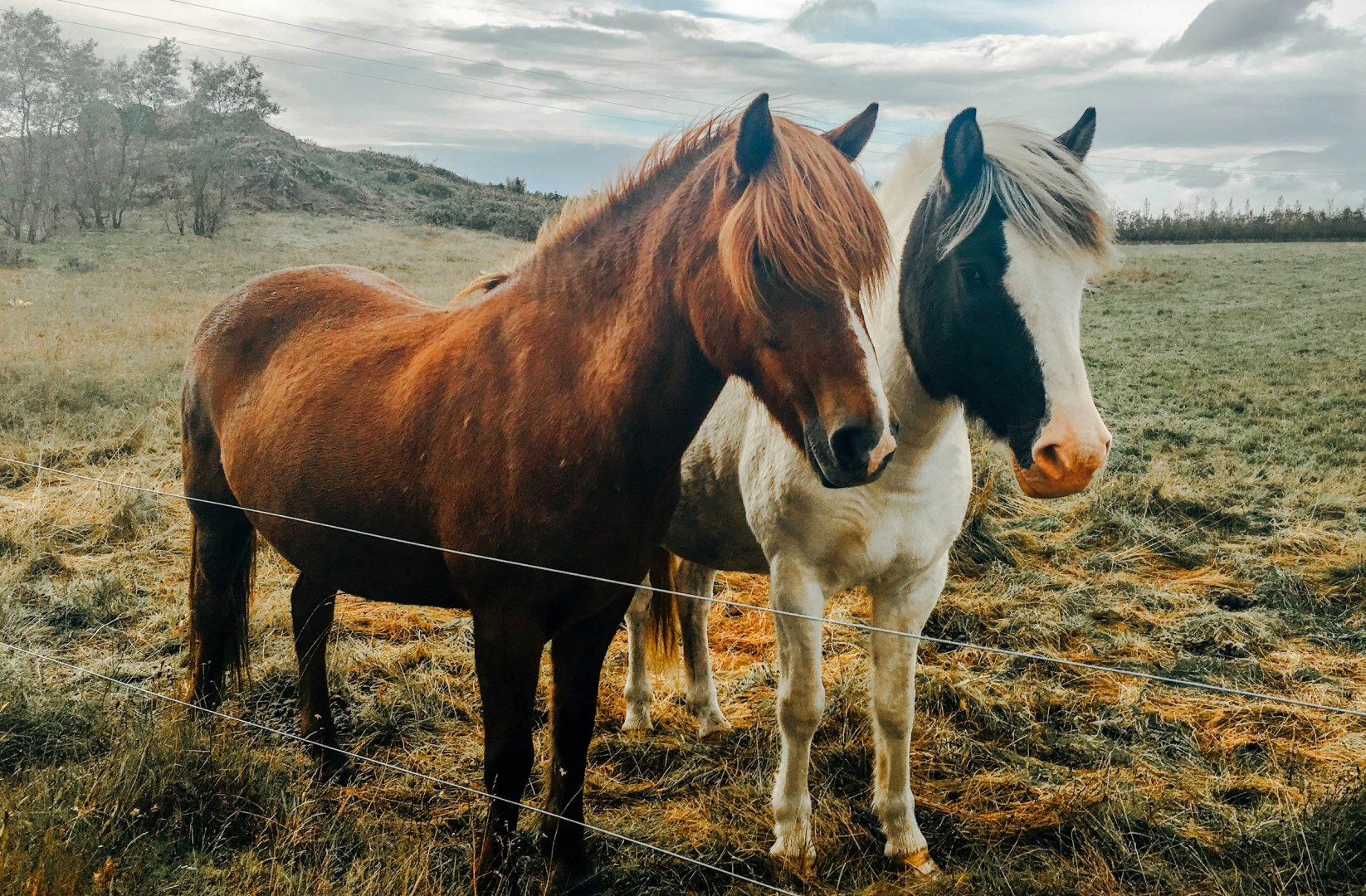  Photo Credit: Photo by Chris Liverani on Unsplash