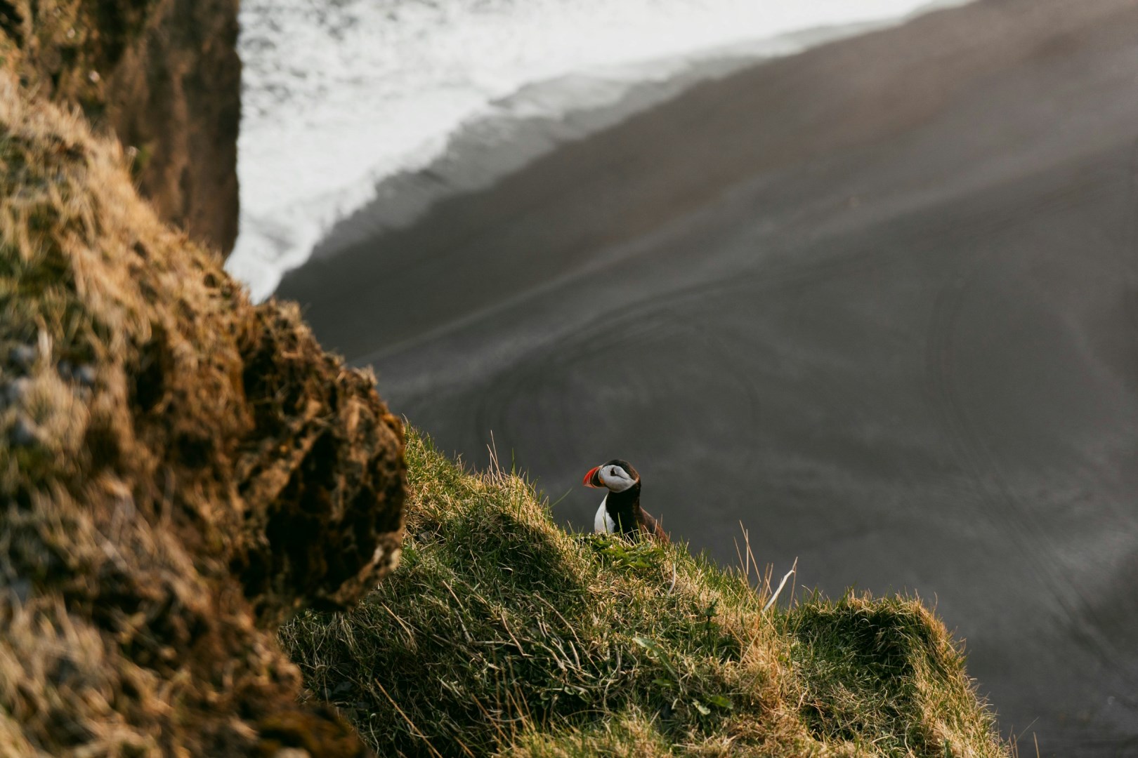  Photo Credit: Photo by Yvon Hoogers on Unsplash