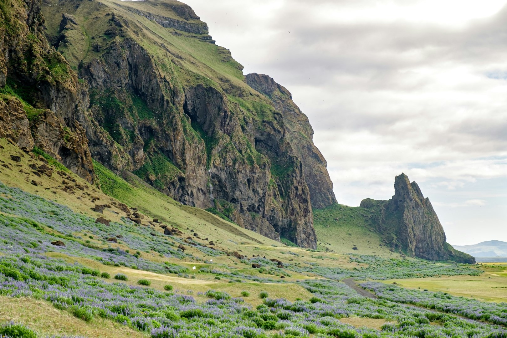  Photo Credit: Photo by Laurent Gence on Unsplash