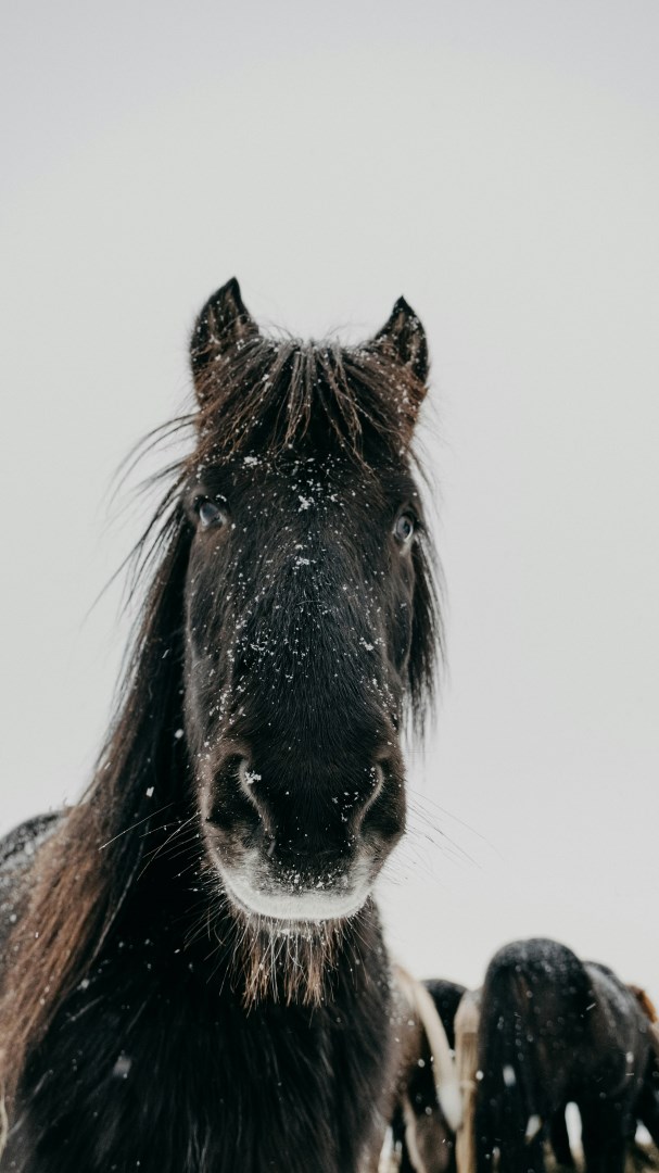  Photo Credit: Photo by Andrew A on Unsplash