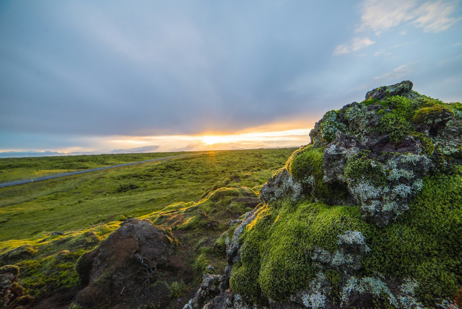  Photo Credit: Photo by Chris Ried on Unsplash