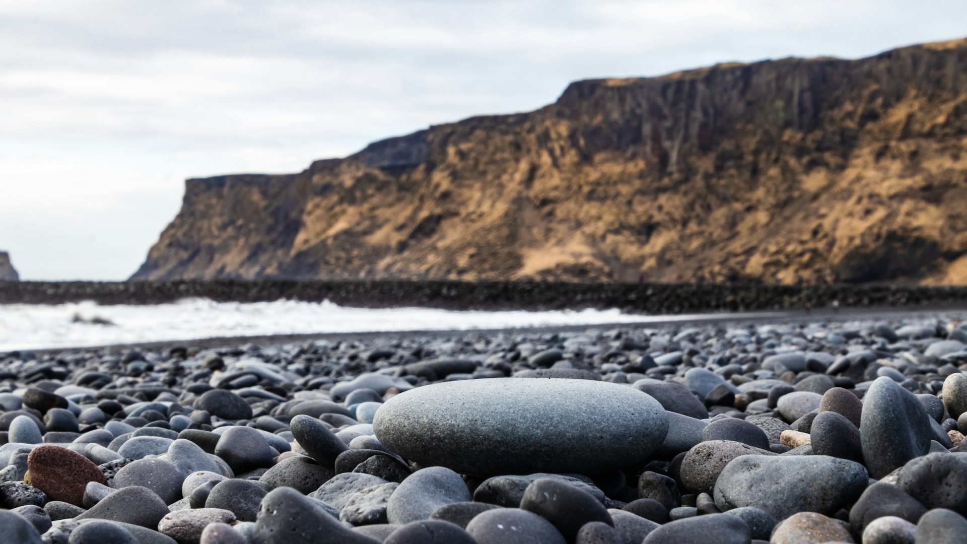  Photo Credit: Photo by Andrew S on Unsplash
