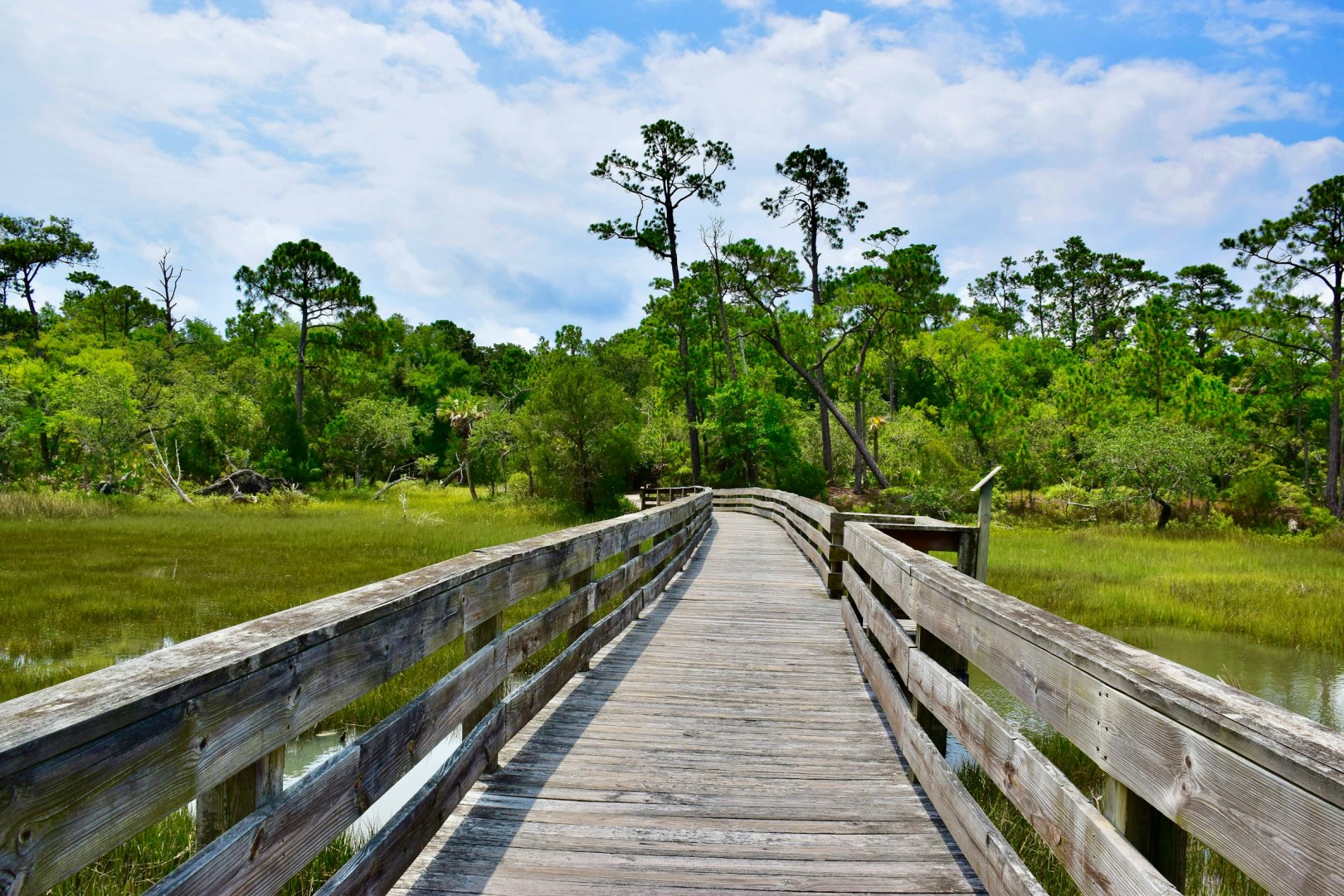  Photo Credit: Photo by Caroline McFarland on Unsplash