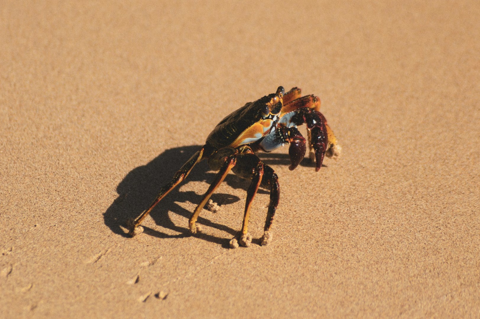  Photo Credit: Photo by Alex Braga on Unsplash
