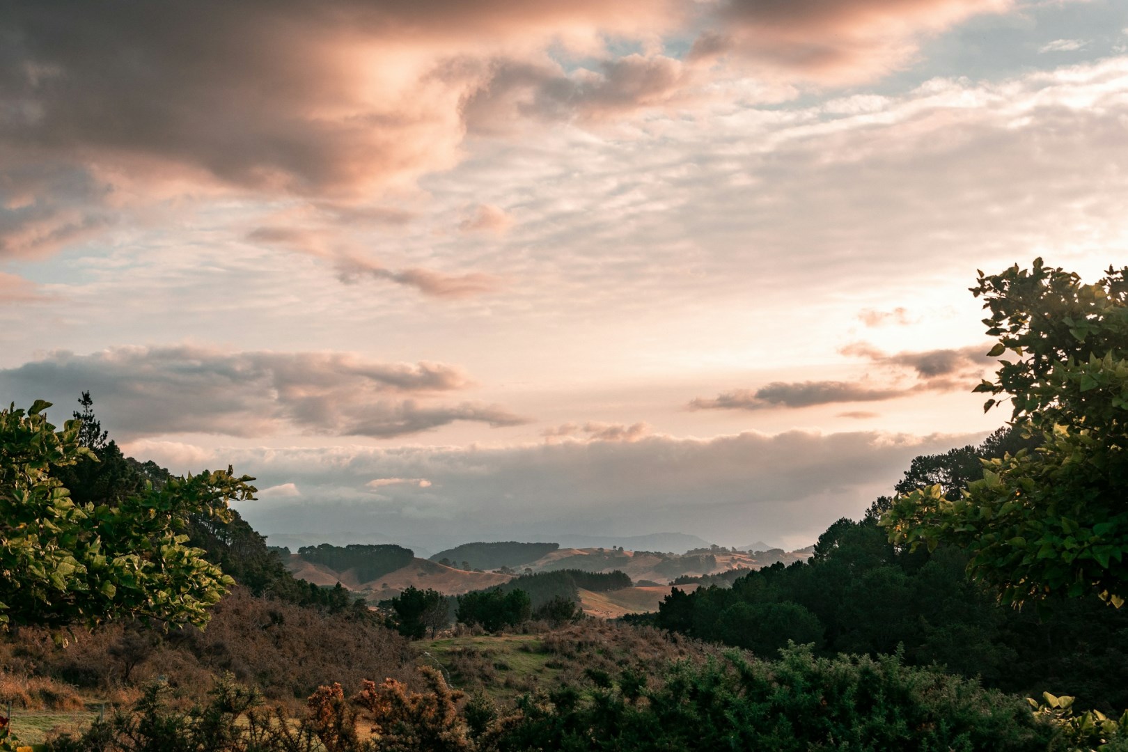  Photo Credit: Photo by Sébastien Goldberg on Unsplash