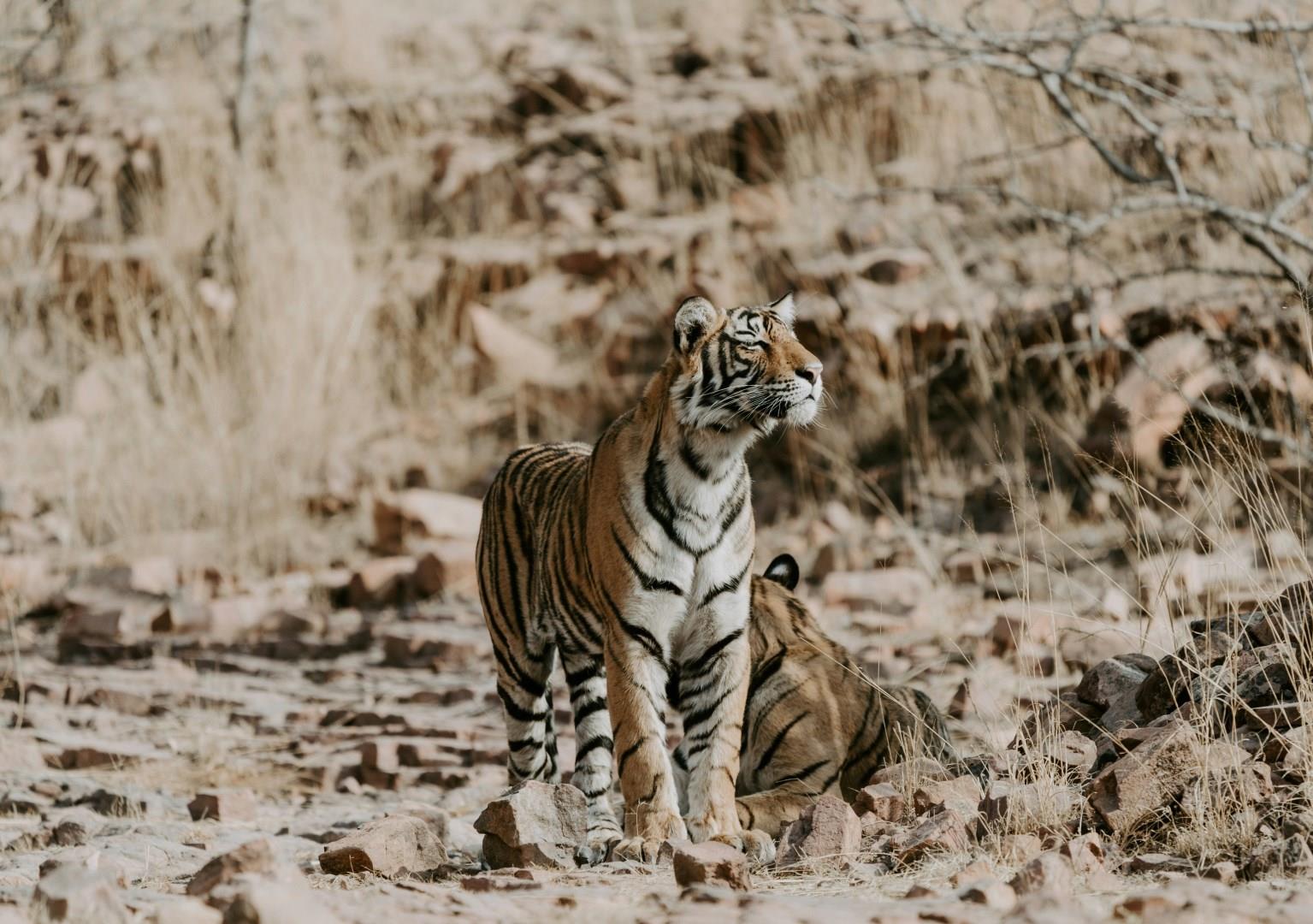 Photo Credit: Annie Spratt