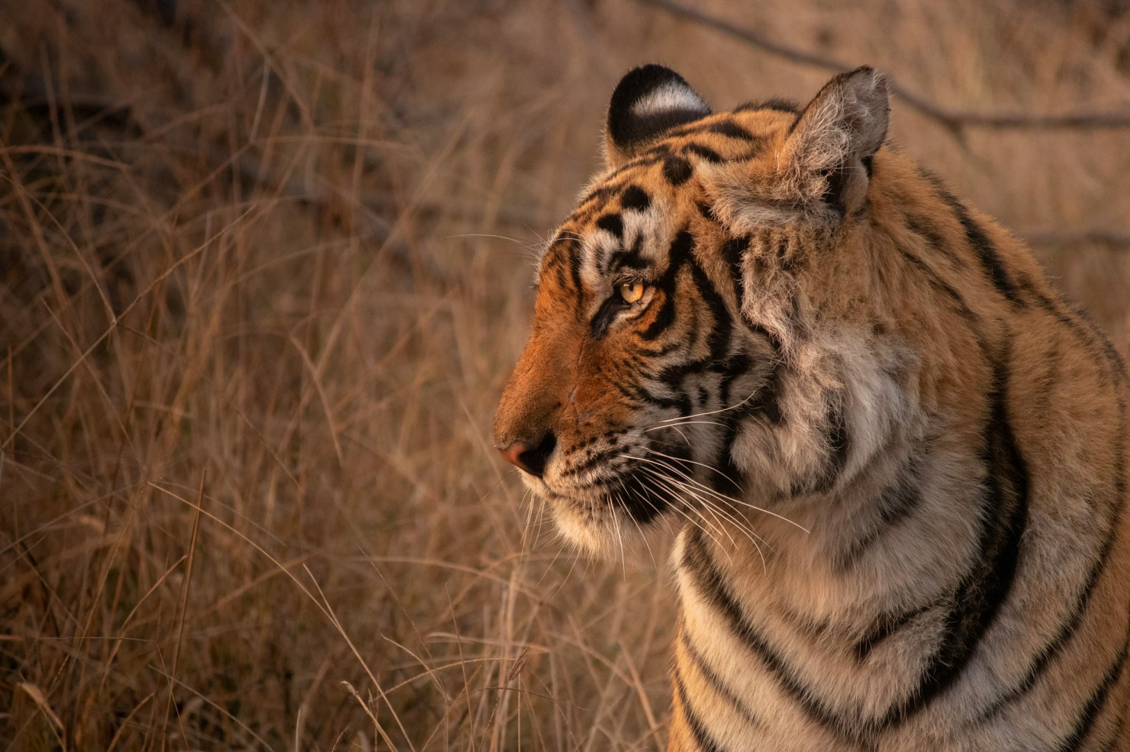  Photo Credit: Photo by Kartik Iyer on Unsplash
