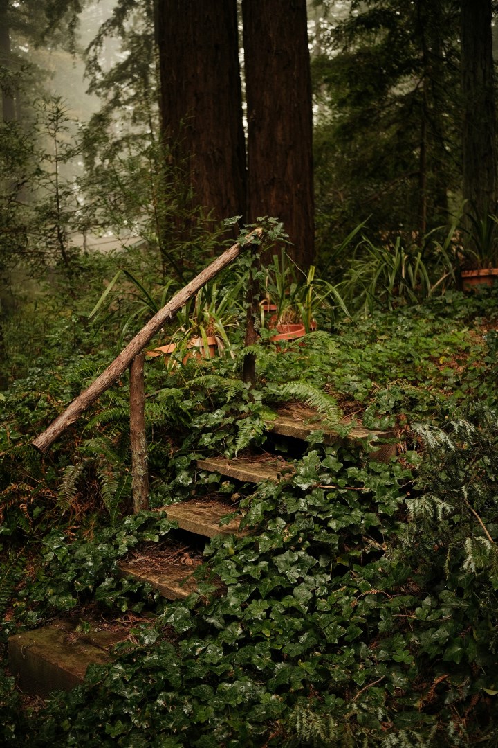  Photo Credit: Photo by Tammy Taabassum on Unsplash