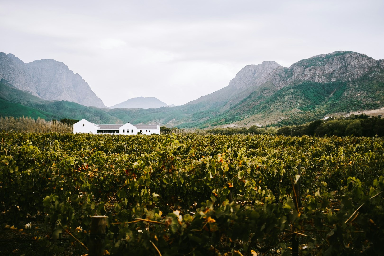  Photo Credit: Photo by Matthijs van Schuppen on Unsplash