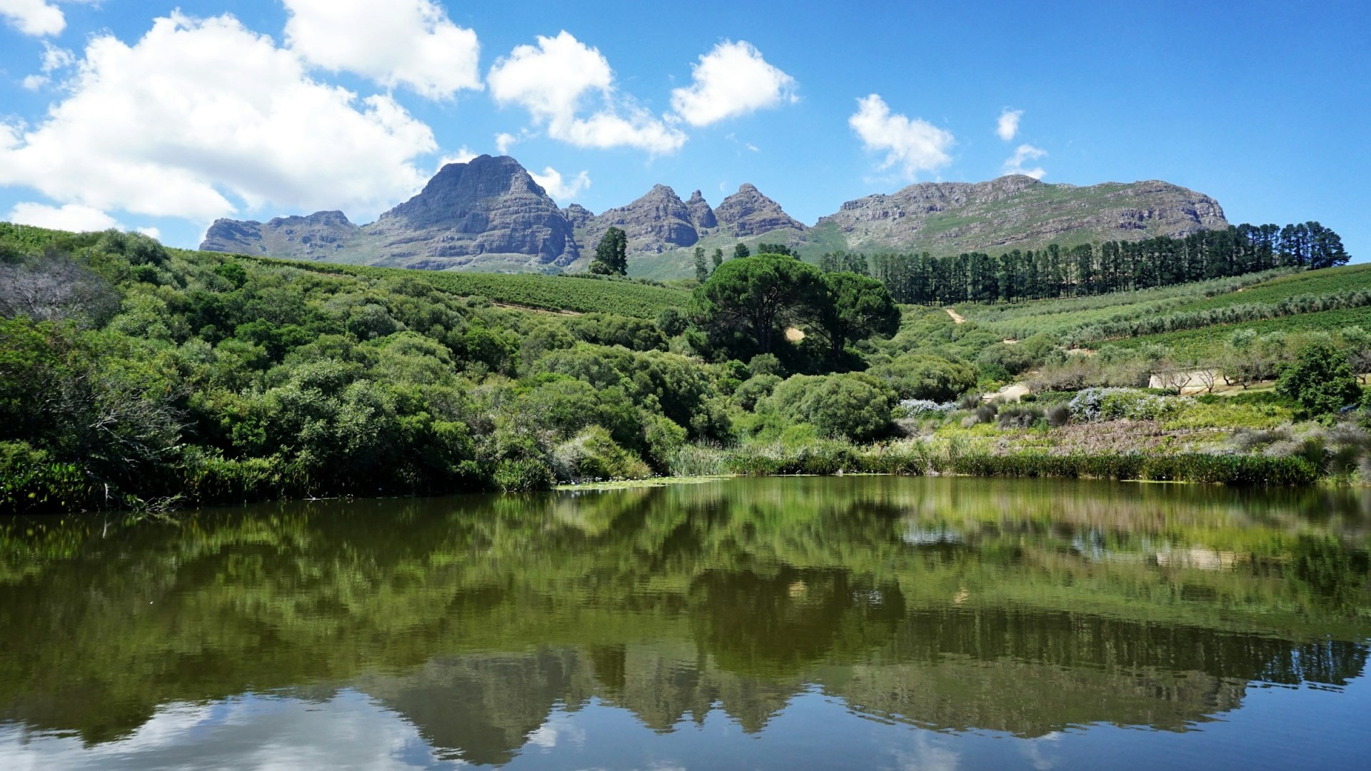  Photo Credit: Photo by Anika De Klerk on Unsplash
