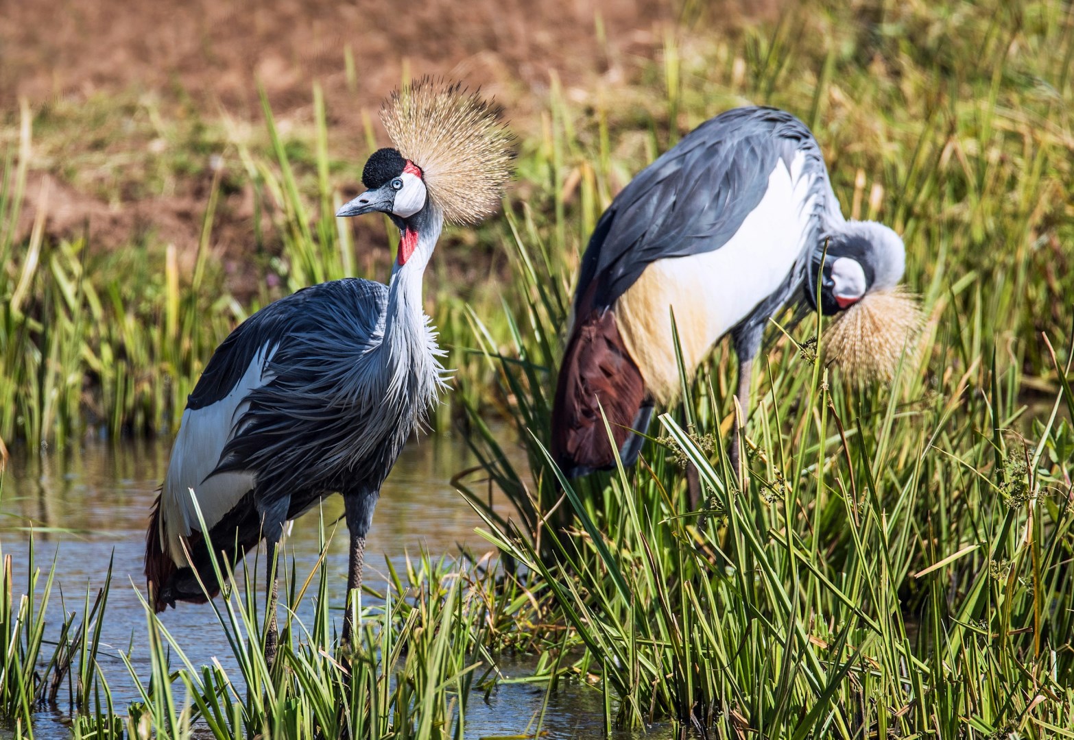  Photo Credit: Photo by David Clode on Unsplash