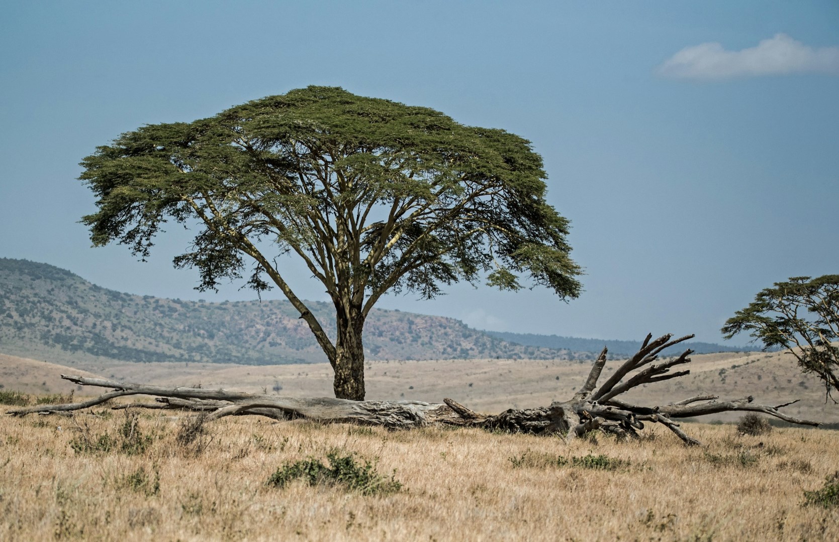  Photo Credit: Photo by David Clode on Unsplash