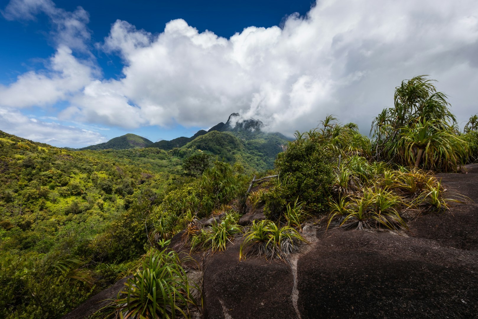 Copolia Trail - Photo Credit: Photo by Luca Cavallin on Unsplash