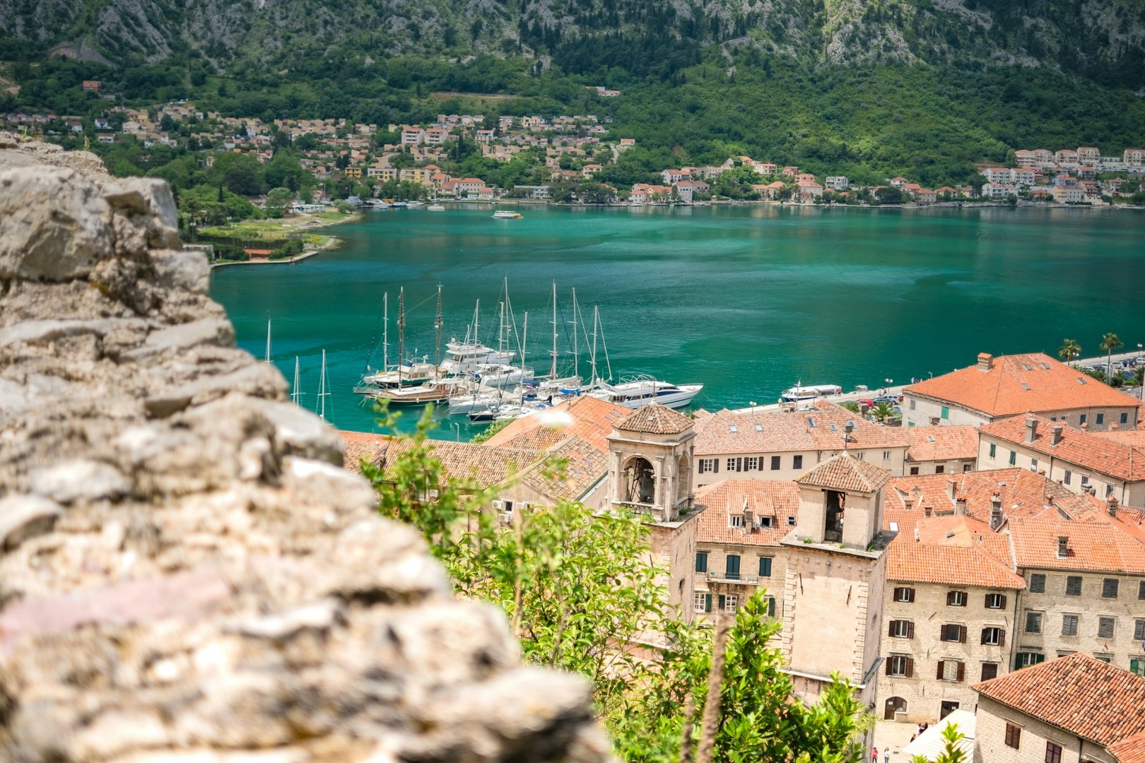  Photo Credit: Photo by Radik Sitdikov on Unsplash