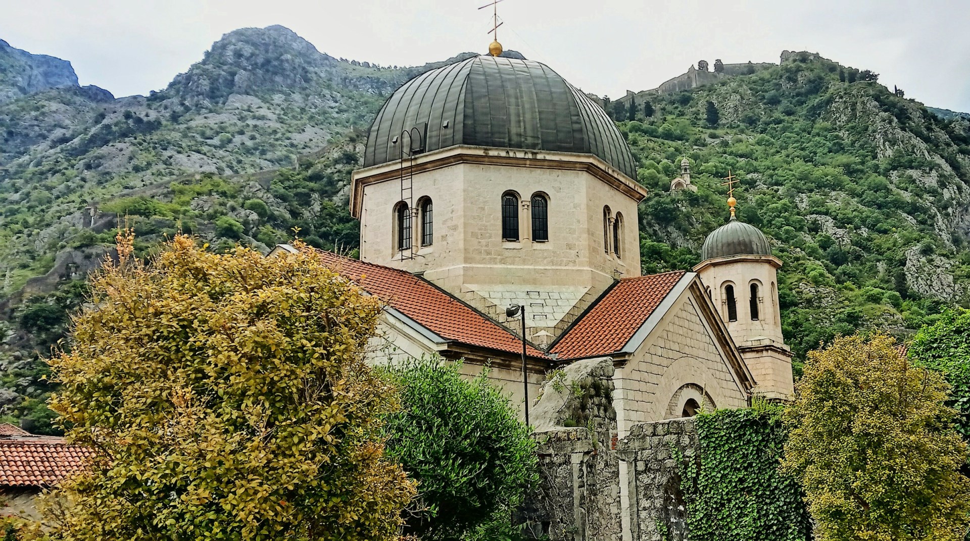  Photo Credit: Photo by david hall on Unsplash