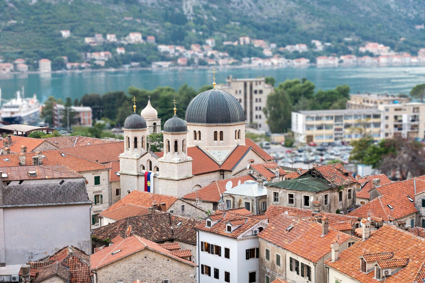  Photo Credit: Photo by Dragisa Braunovic on Unsplash