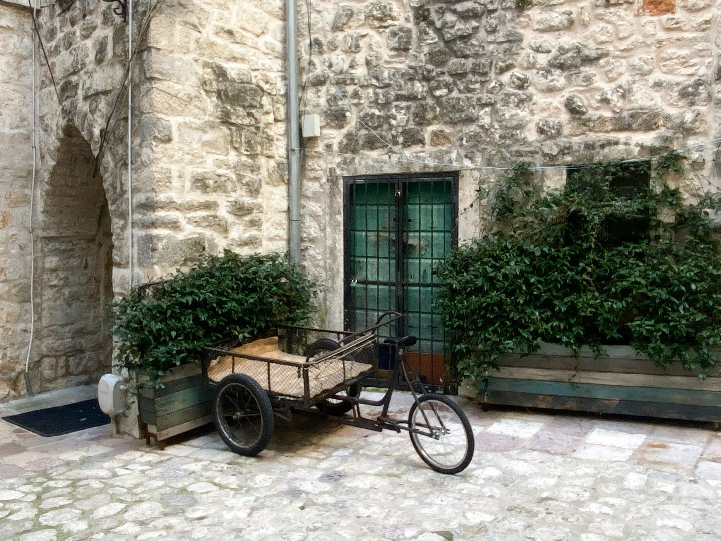  Photo Credit: Photo by Linda Gerbec on Unsplash