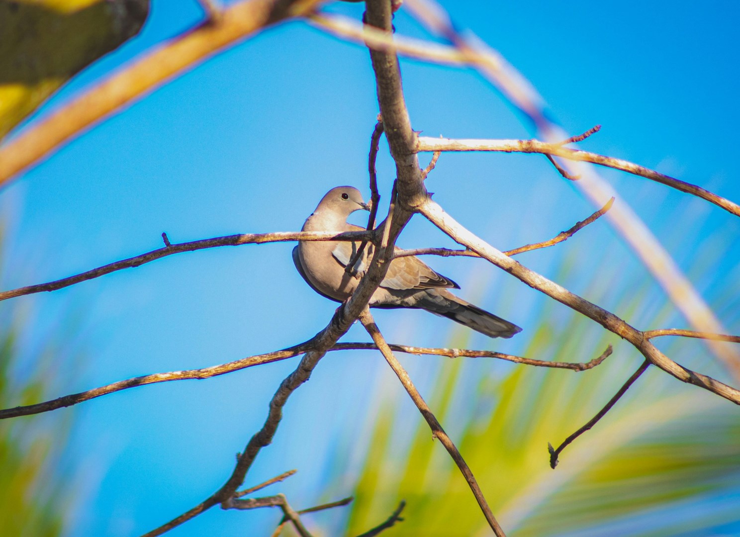  Photo Credit: Photo by Fernando Gutierrez on Unsplash