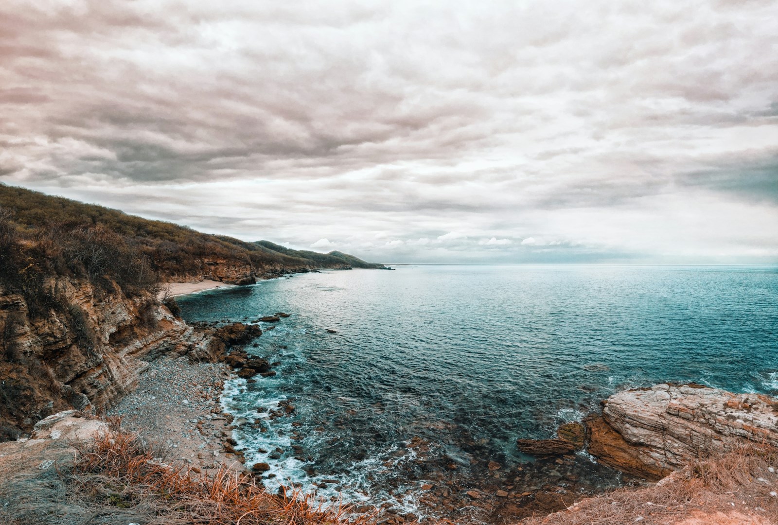  Photo Credit: Photo by Alonso Reyes on Unsplash