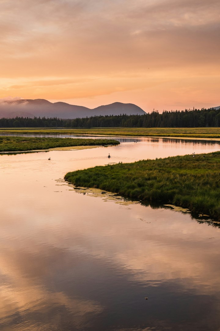  Photo Credit: Photo by Toan Chu on Unsplash