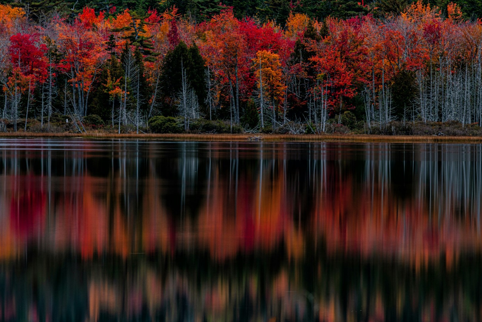  Photo Credit: Photo by Terry Granger on Unsplash