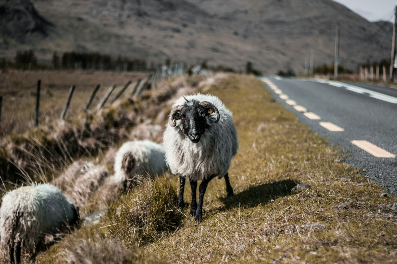  Photo Credit: Photo by Andreas Wagner on Unsplash