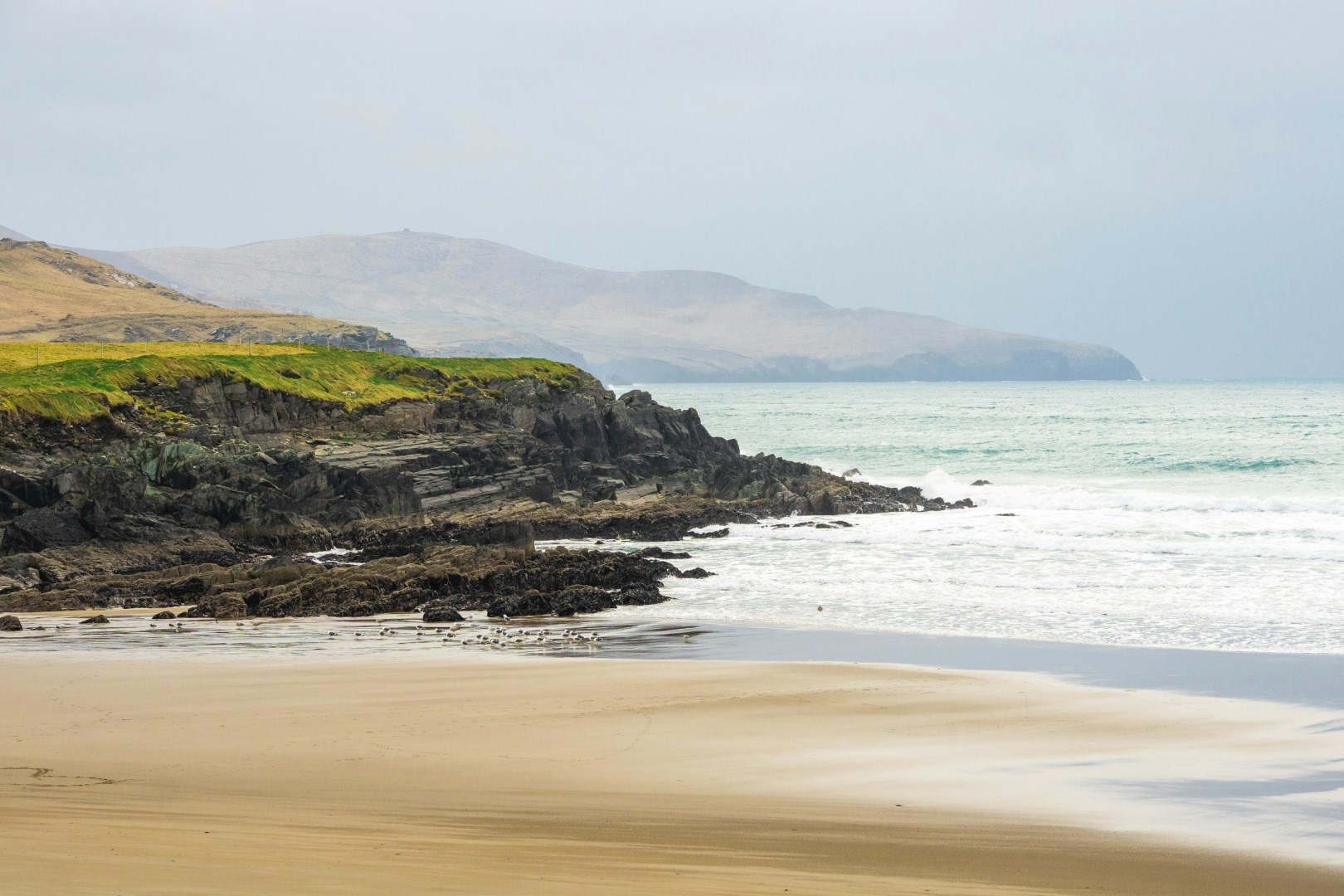  Photo Credit: Photo by Lisa Fecker on Unsplash