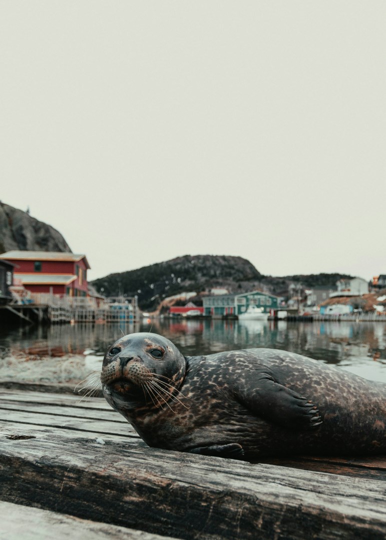  Photo Credit: Photo by Jonathan Cooper on Unsplash