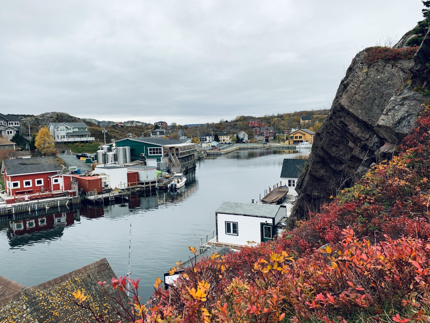 Quidi Vidi - Photo Credit: Photo by Pei Yu on Unsplash