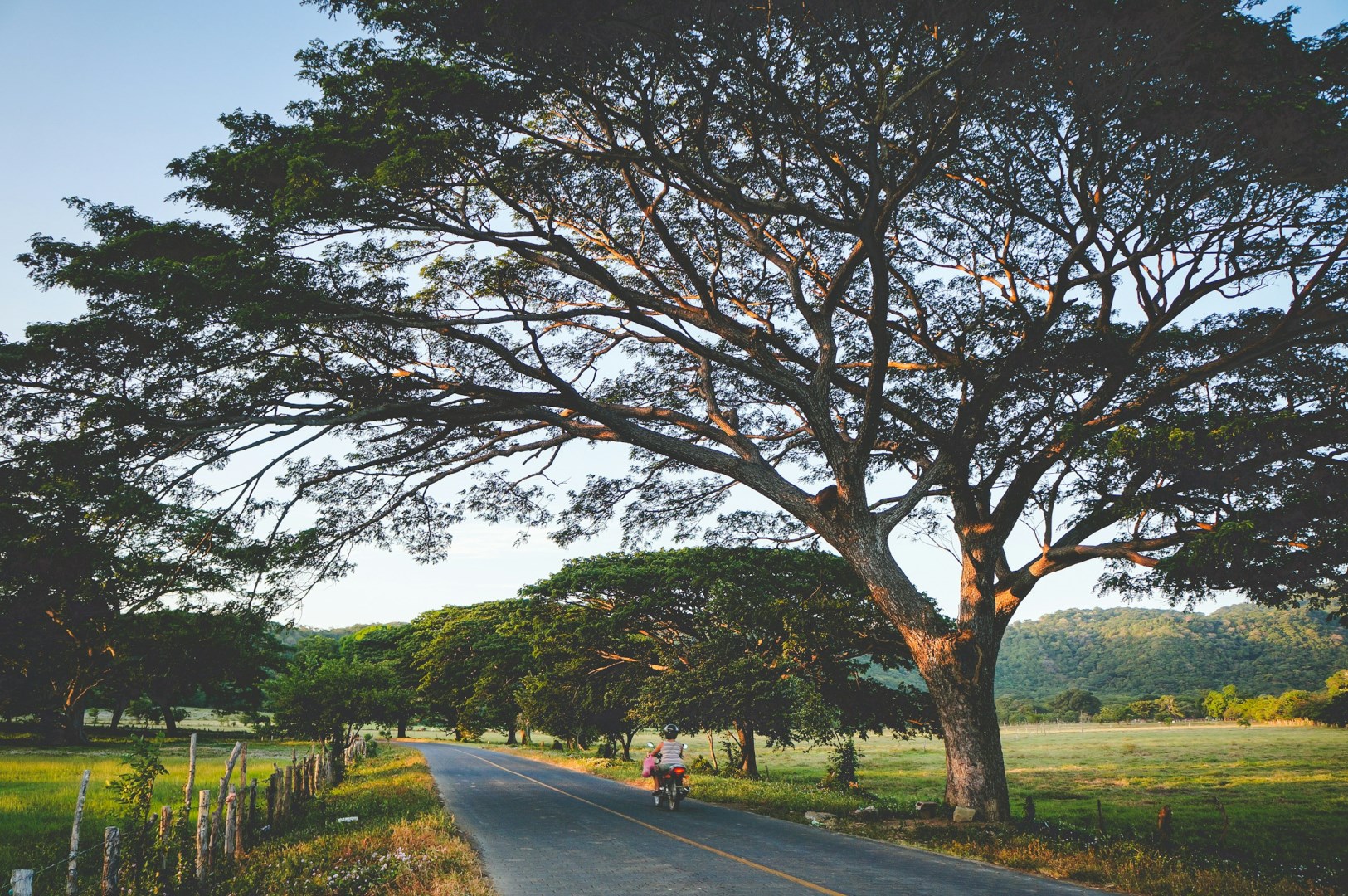  Photo Credit: Photo by Ale Romo on Unsplash