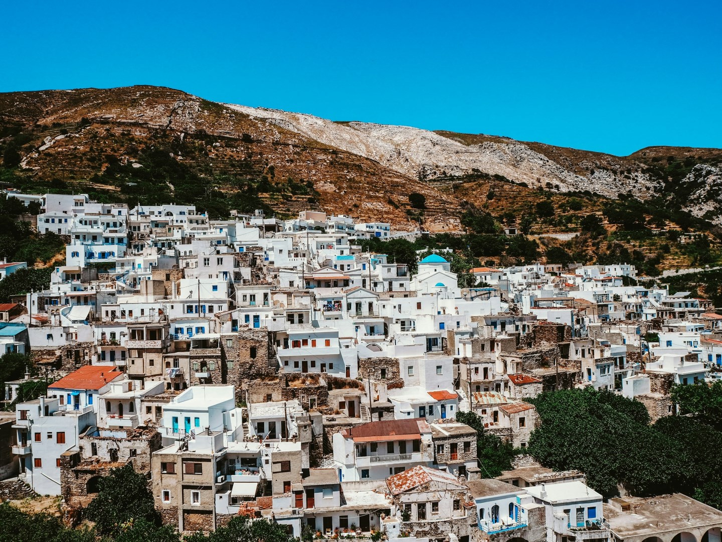  Photo Credit: Photo by Johnny Africa on Unsplash
