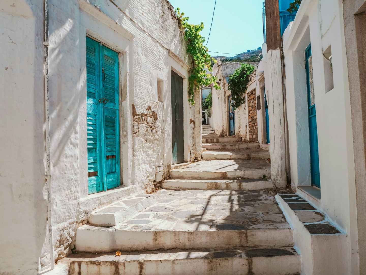  Photo Credit: Photo by Johnny Africa on Unsplash