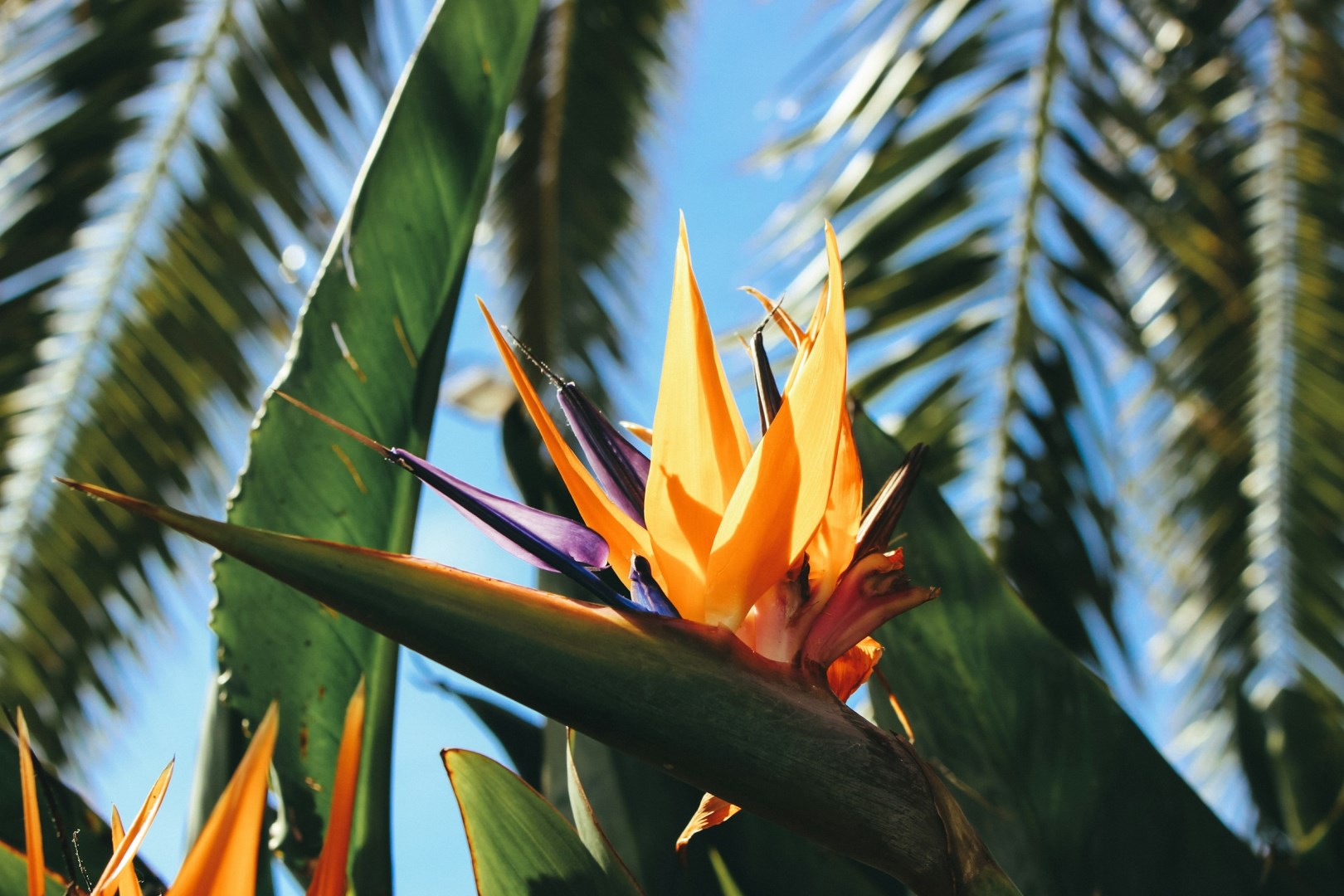  Photo Credit: Photo by Jametlene Reskp on Unsplash