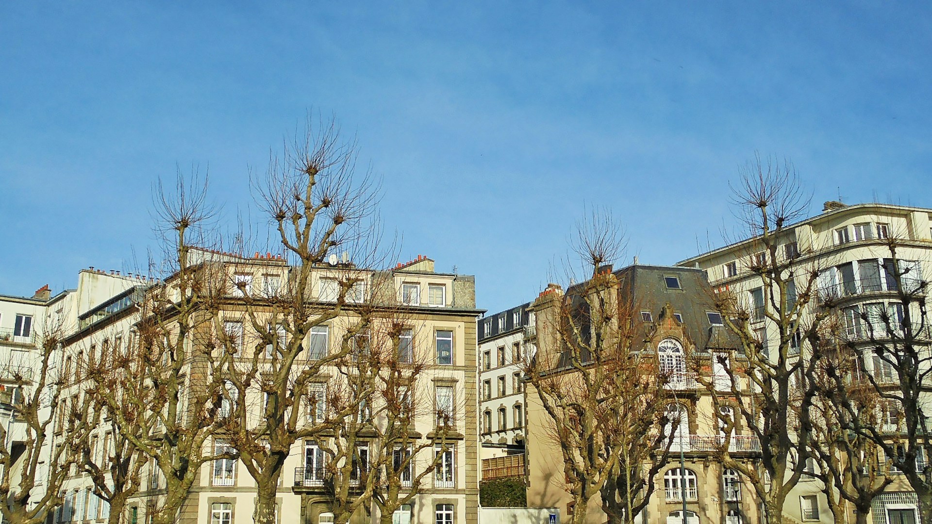  Photo Credit: Photo by vigouroux gérald on Unsplash
