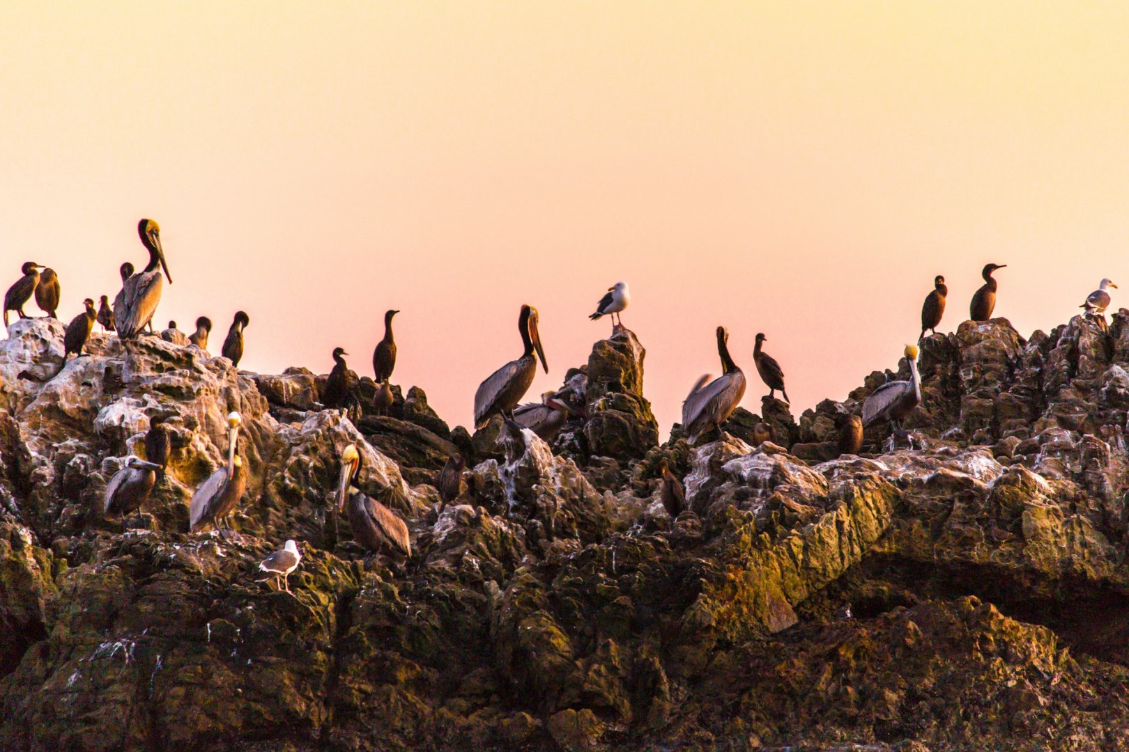  Photo Credit: Photo by Daniel Sinoca on Unsplash