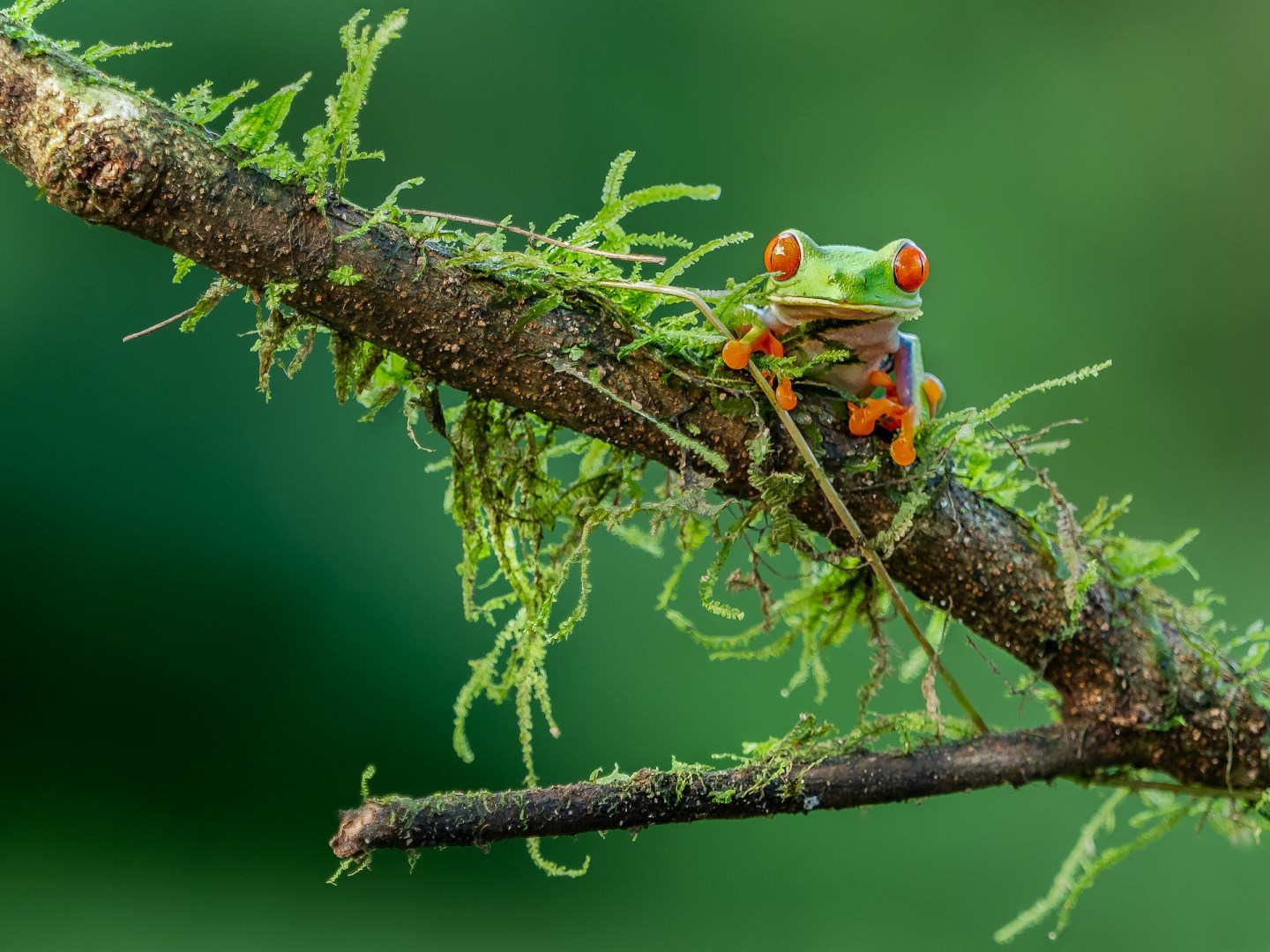  Photo Credit: Photo by William Warby on Unsplash