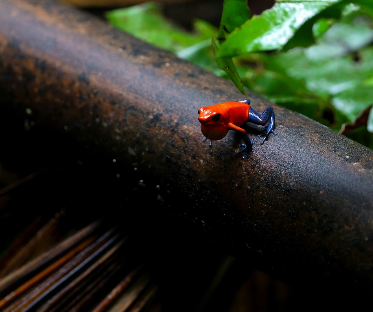  Photo Credit: Photo by Max Thake on Unsplash