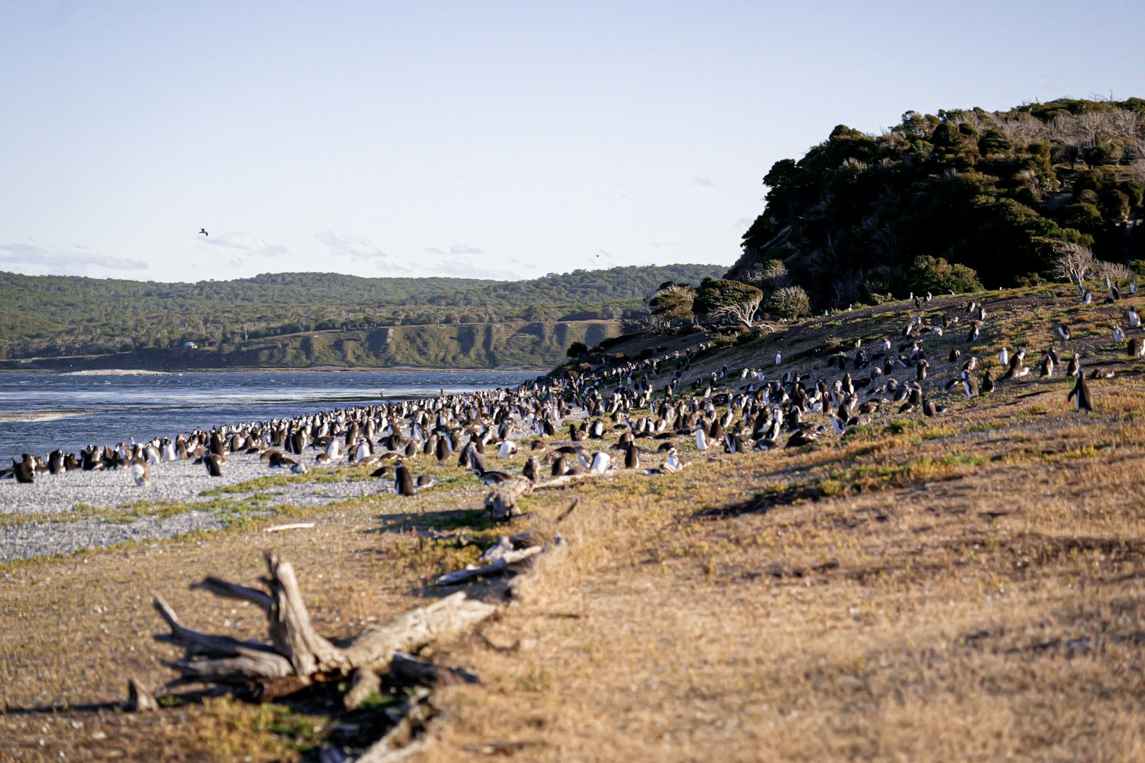 Isla Martillo - Photo Credit: Photo by Carter Obasohan on Unsplash