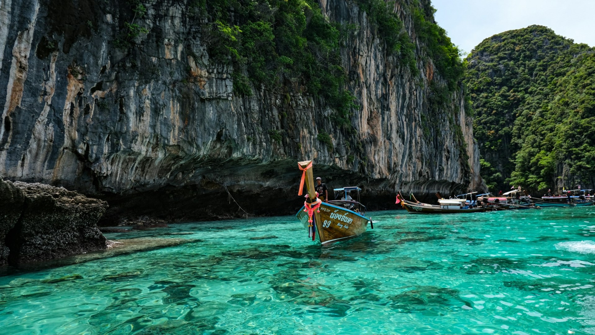  Photo Credit: Photo by Ashiks Visual on Unsplash