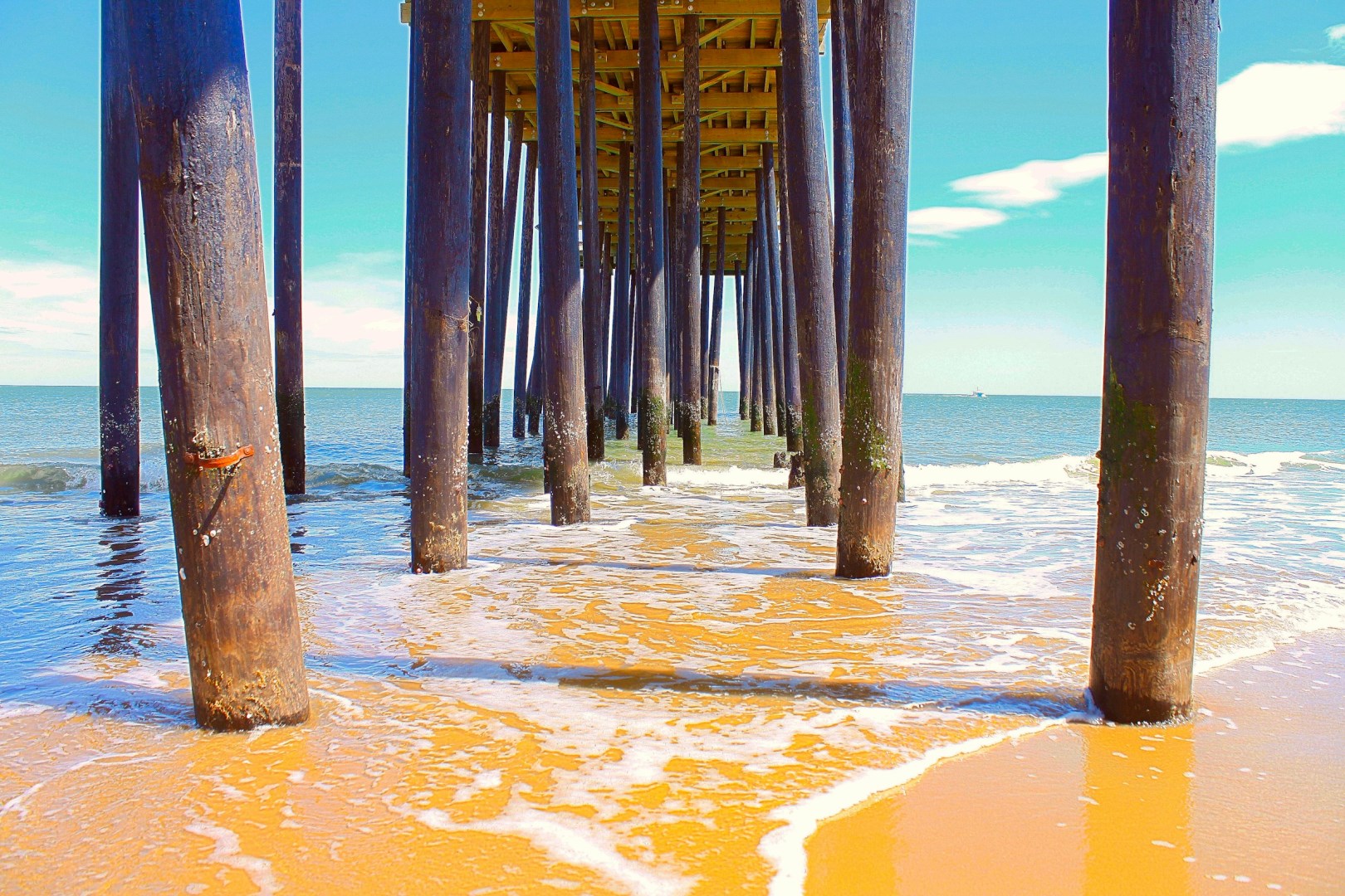  Photo Credit: Photo by Jeff McLain on Unsplash