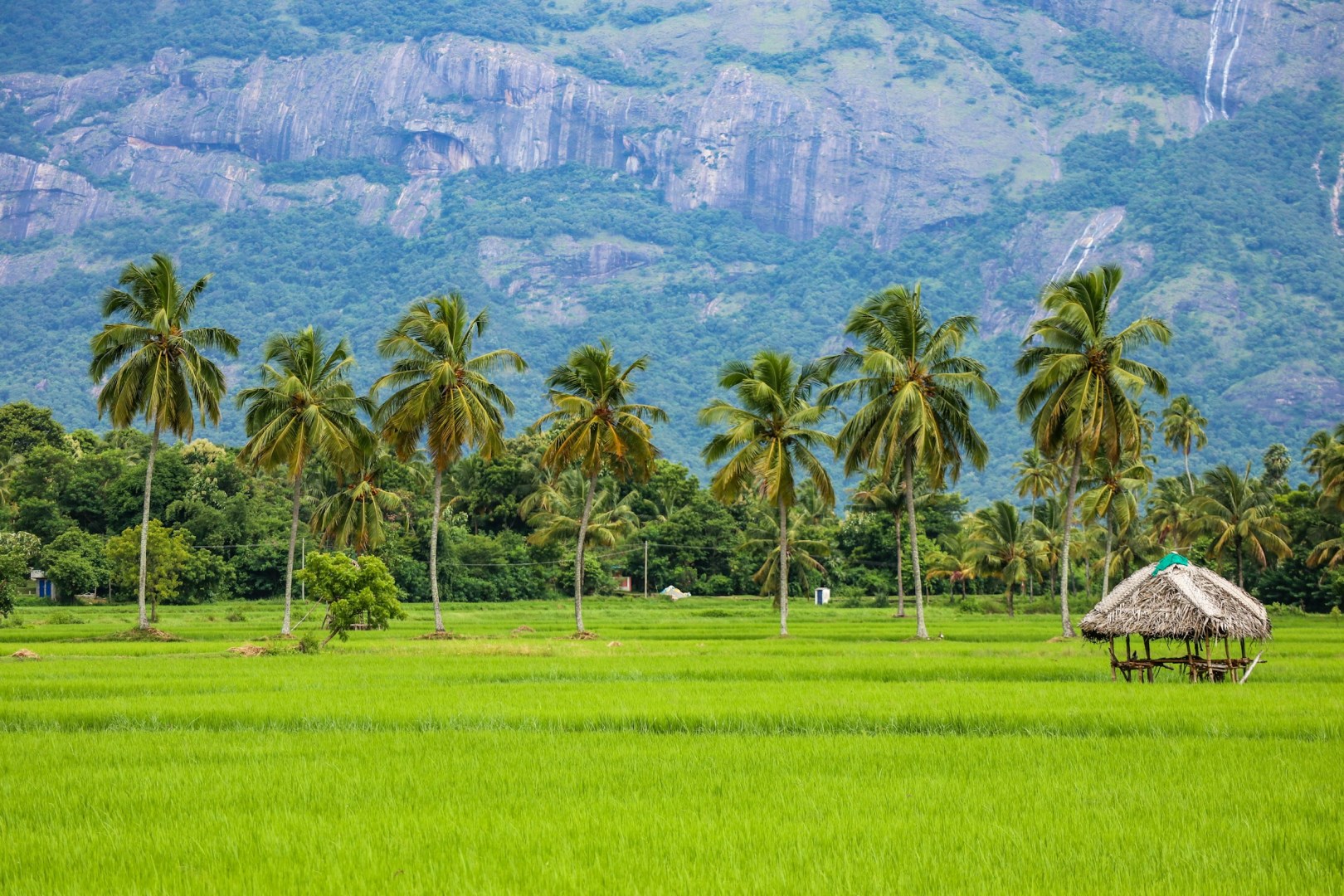  Photo Credit: Photo by Sreehari Devadas on Unsplash