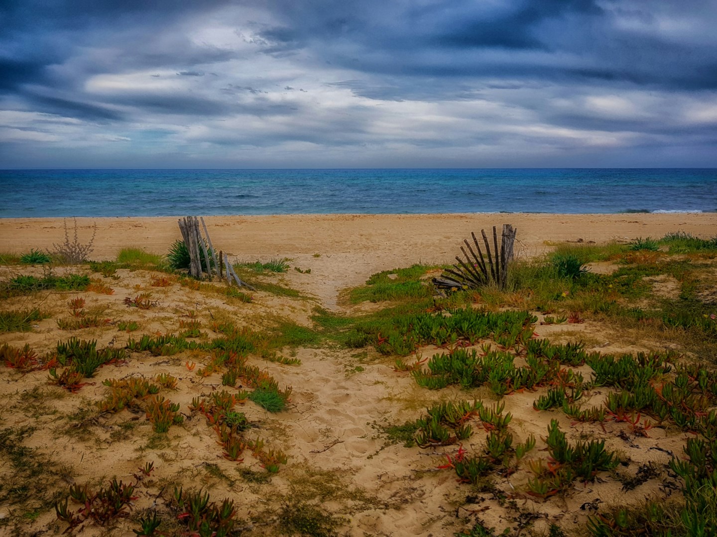  Photo Credit: Photo by Ahmed Ammar on Unsplash