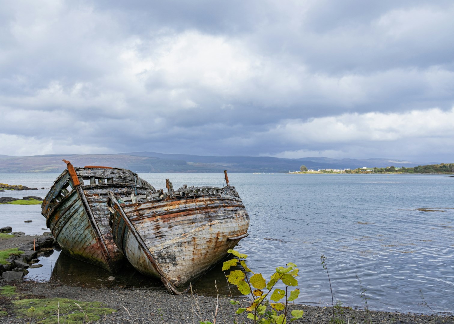  Photo Credit: Photo by Andrew Dawes on Unsplash