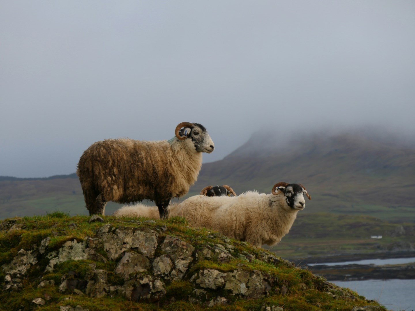  Photo Credit: Photo by Hazel Clifton on Unsplash
