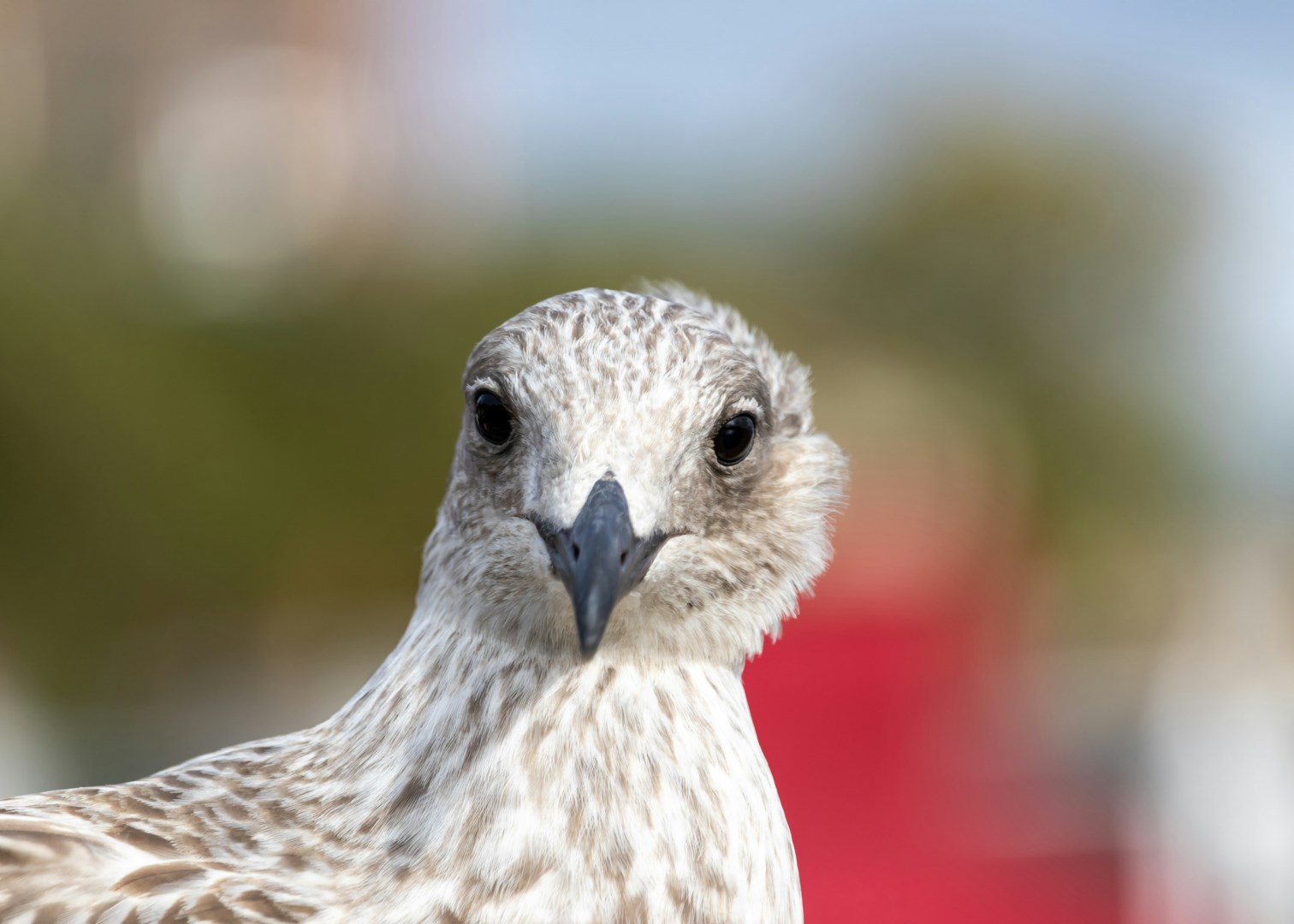  Photo Credit: Photo by Andrew Dawes on Unsplash