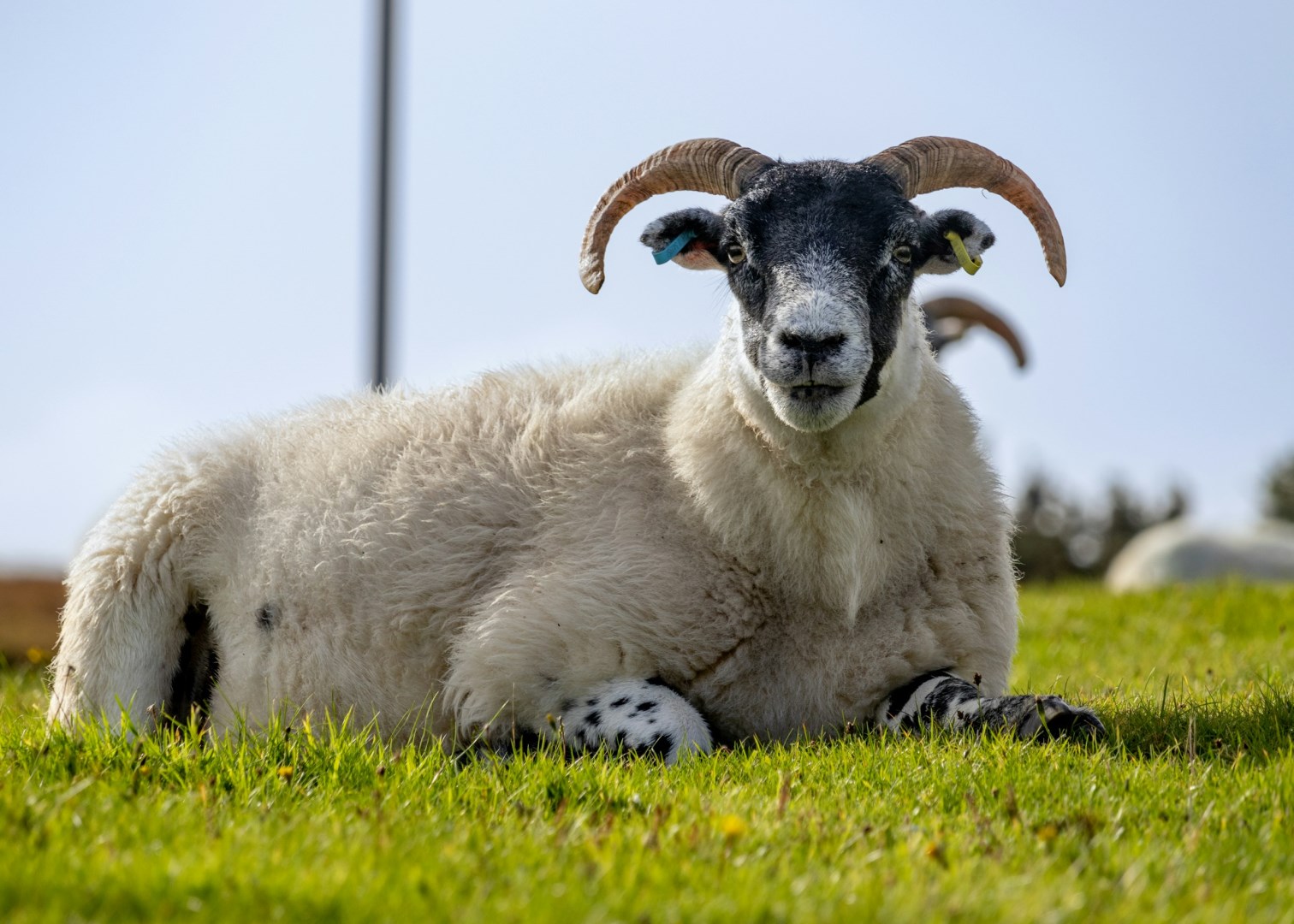 Fionnphort - Photo Credit: Photo by Andrew Dawes on Unsplash